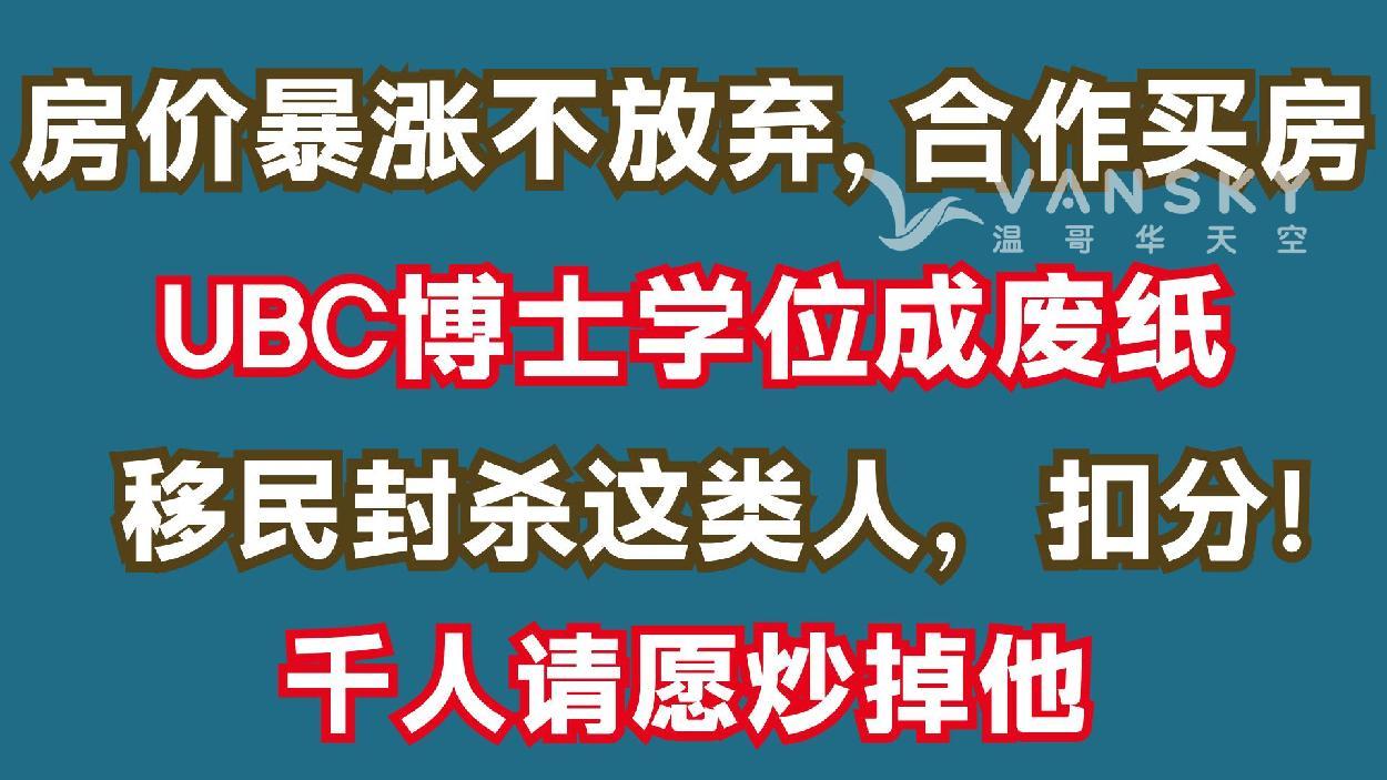 通用的占位符缩略图