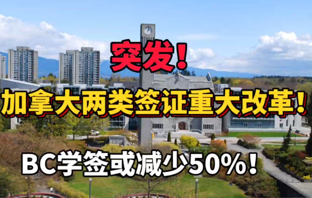 通用的占位符缩略图