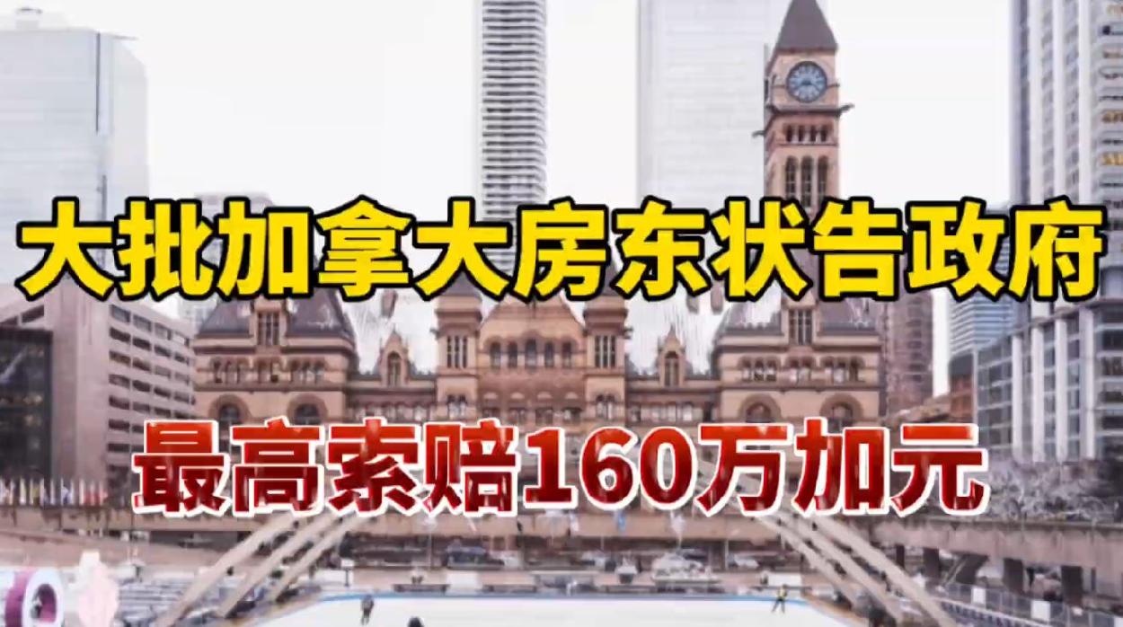 通用的占位符缩略图