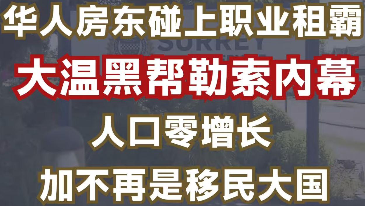 通用的占位符缩略图