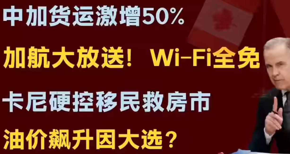 通用的占位符缩略图