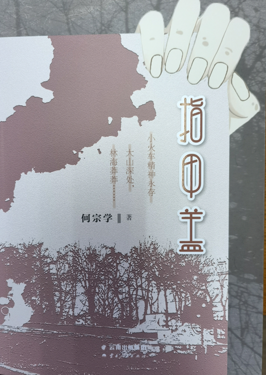 (长篇小说《指甲盖》封面)