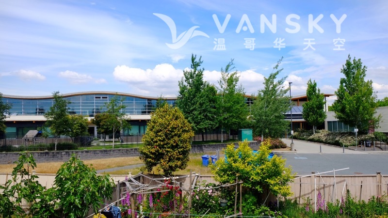 230203182753_后院小学.JPG