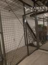 Richmond 室内储物空间storage locker出租  1.8m wide x 90cm deep x 1.8m tall 有充电插座