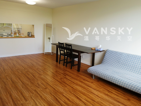 230227195934_4livingroom.jpg