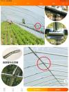 种植温室大棚52’*26’