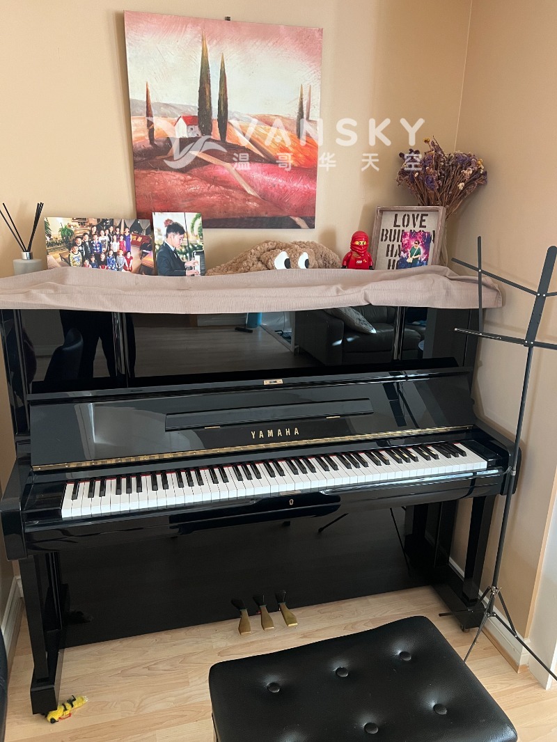 240324175916_钢琴1.jpg
