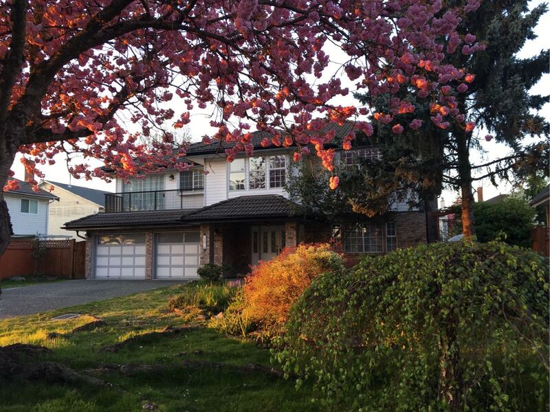 北素两室一卫出租