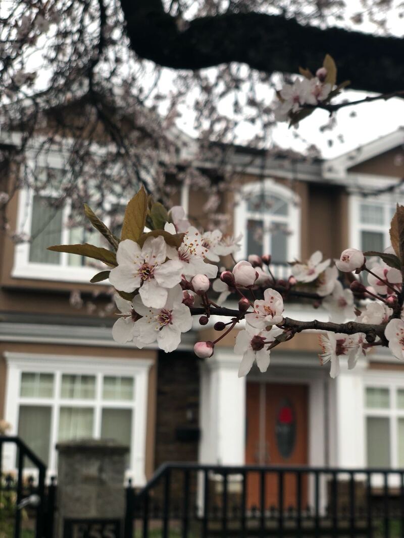 溫東2房1衛出租