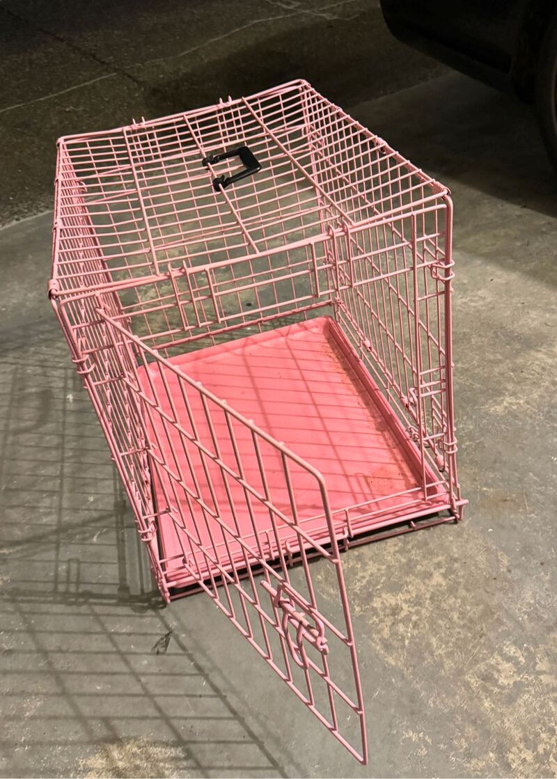 出售宠物铁笼和宠物航空箱各一只