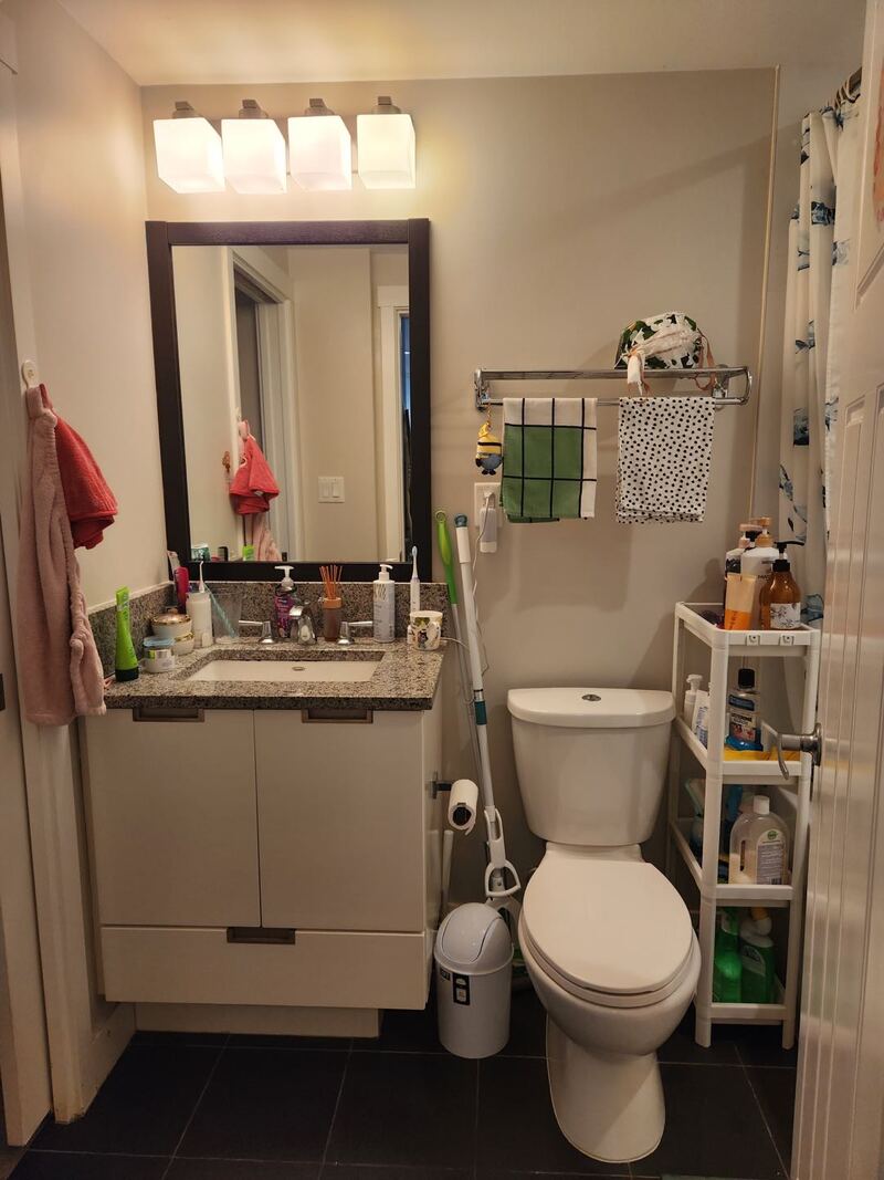 高贵林中心一室一厅高层出租