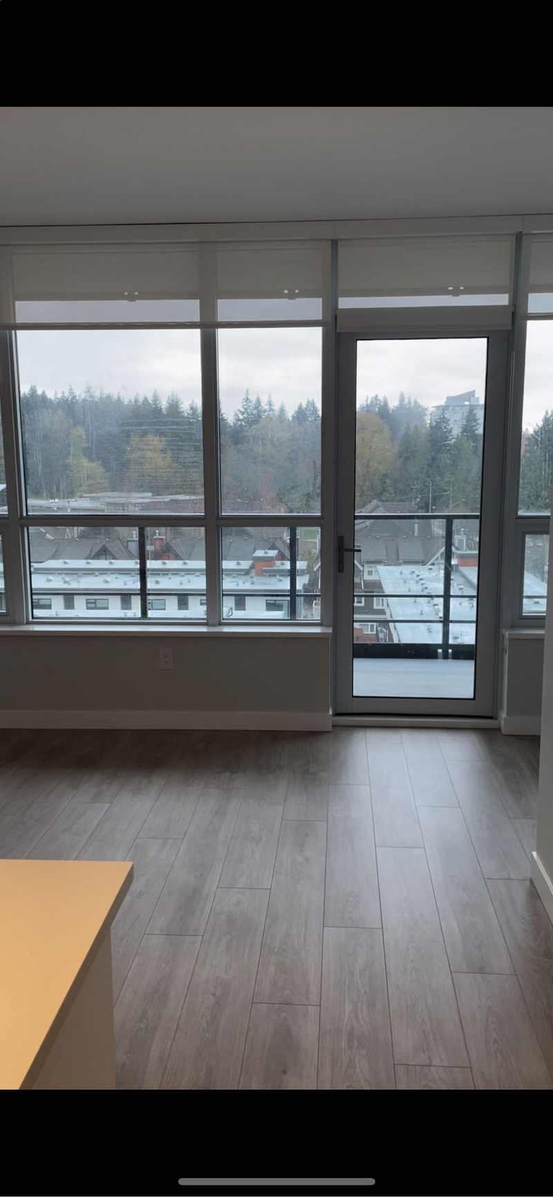 UBC校园内空调新公寓一室一厅