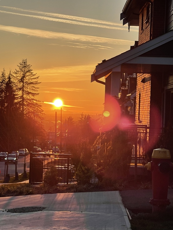 Burquitlam CottonWood Park旁联排单间和套房出租