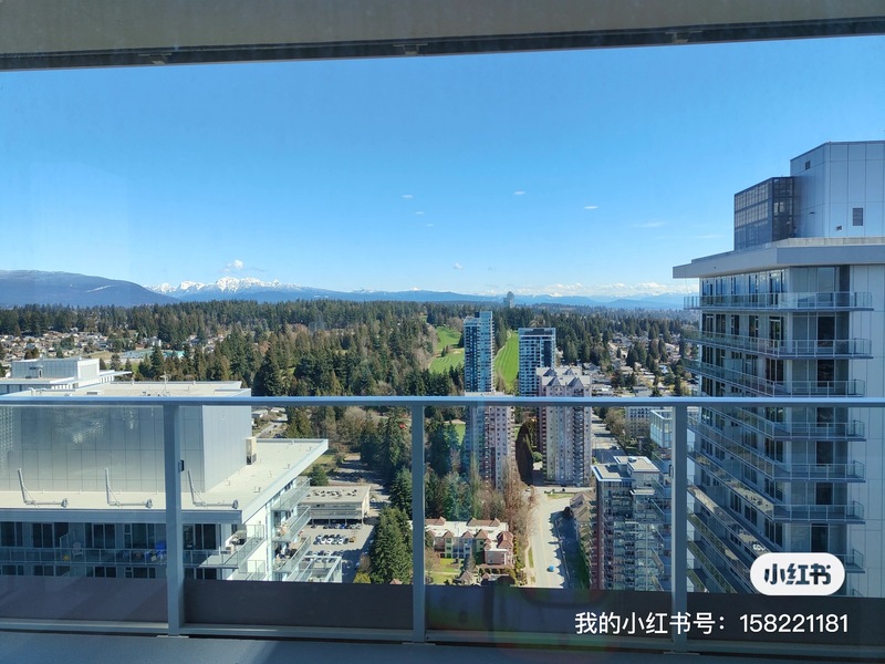 COL高层公寓出租