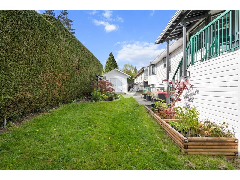 兰里walnut grove核桃林招合租