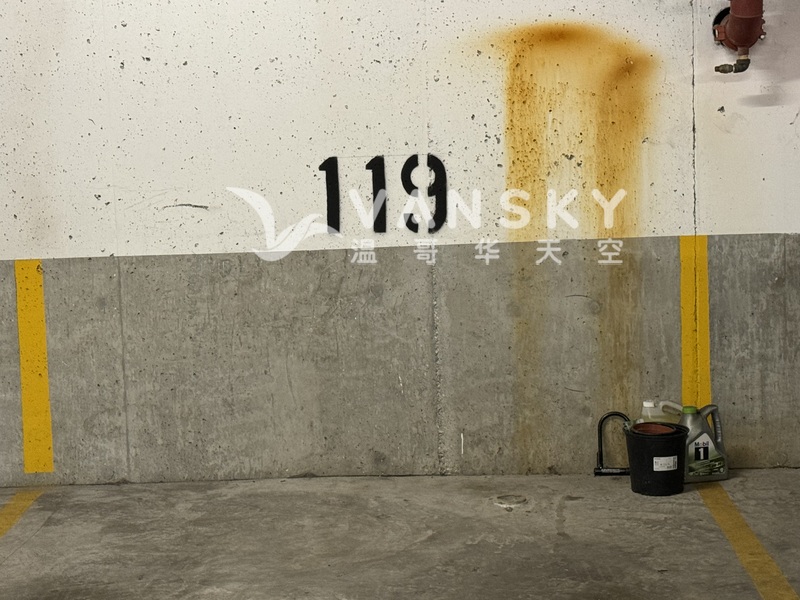 2024 Toyota Sienna 丰田“西耶娜”