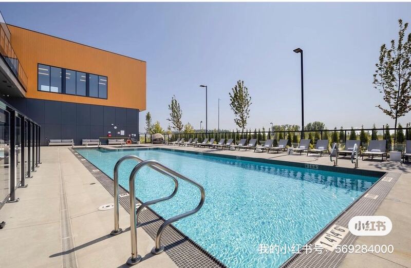 Delta/Tsawwassen/列治文独立出入可带宠物1b1b出租