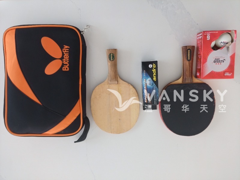 240912170315_乒乒球拍兩塊.jpg