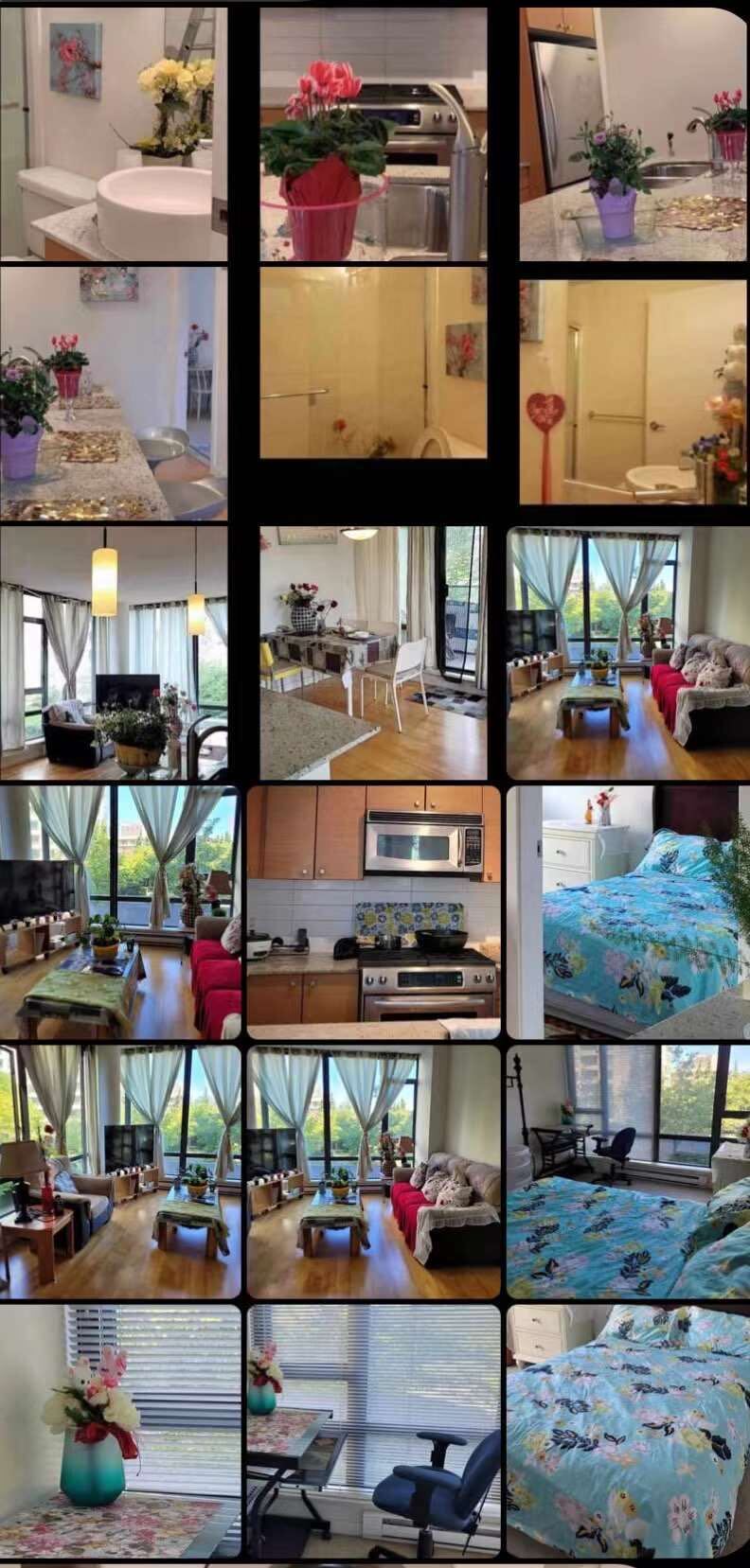 三號路附近獨立衛浴一房出租可貓