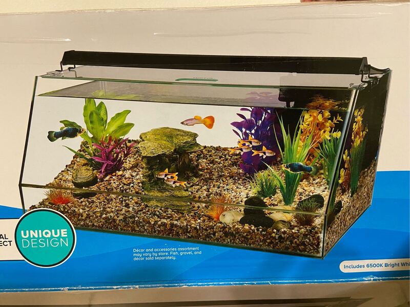 低价出九成新鱼缸 送造景