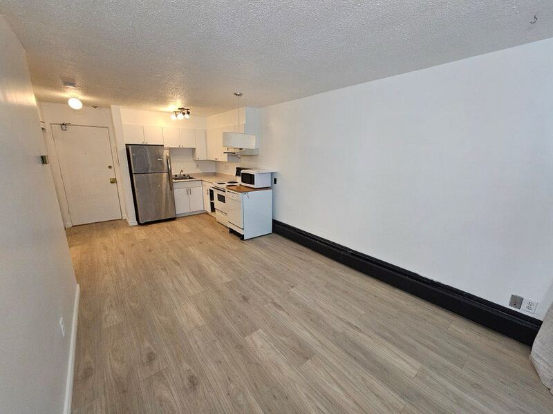 阳光充足，全新装修1卧室公寓