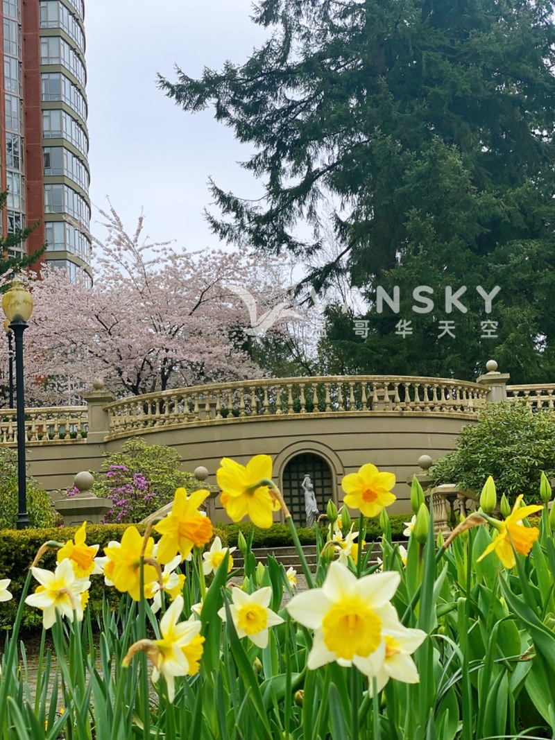 本拿比Edmond 天才车豪华公寓低价