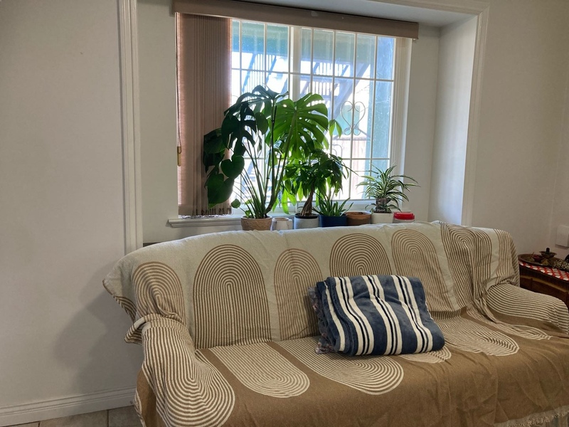 平价平地两房一厅出租