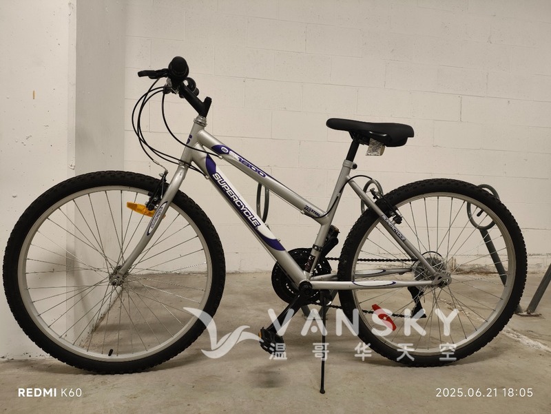 个人自行车转让