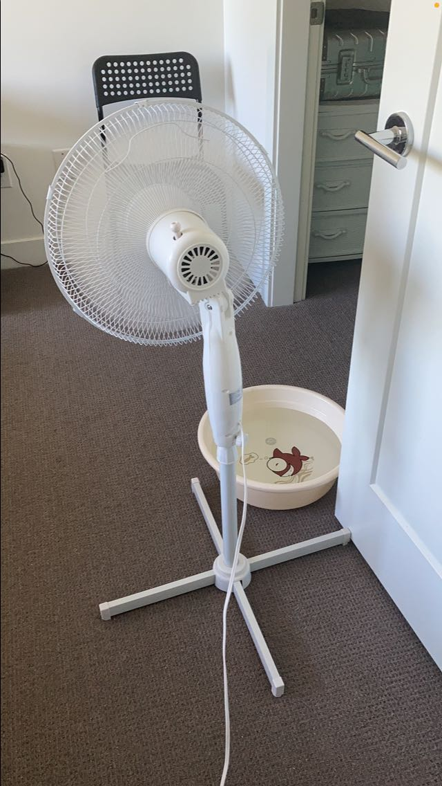 立式摇头电风扇