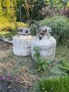 propane tanks Two for。$15