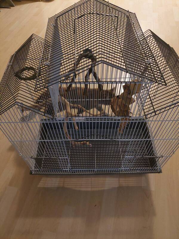 鱼缸 鸟笼 猫笼