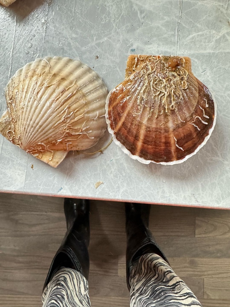 海产品养殖公司转让