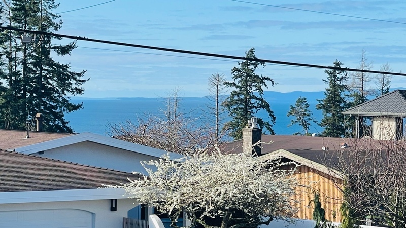 260503171647_1774113844-compressed-IMG_6912.jpg