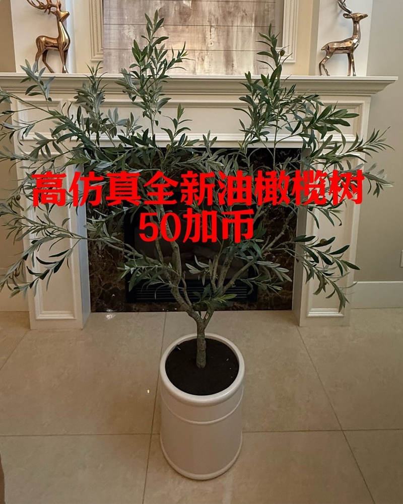 260722114645_1784744722-compressed-IMG_1163.jpg
