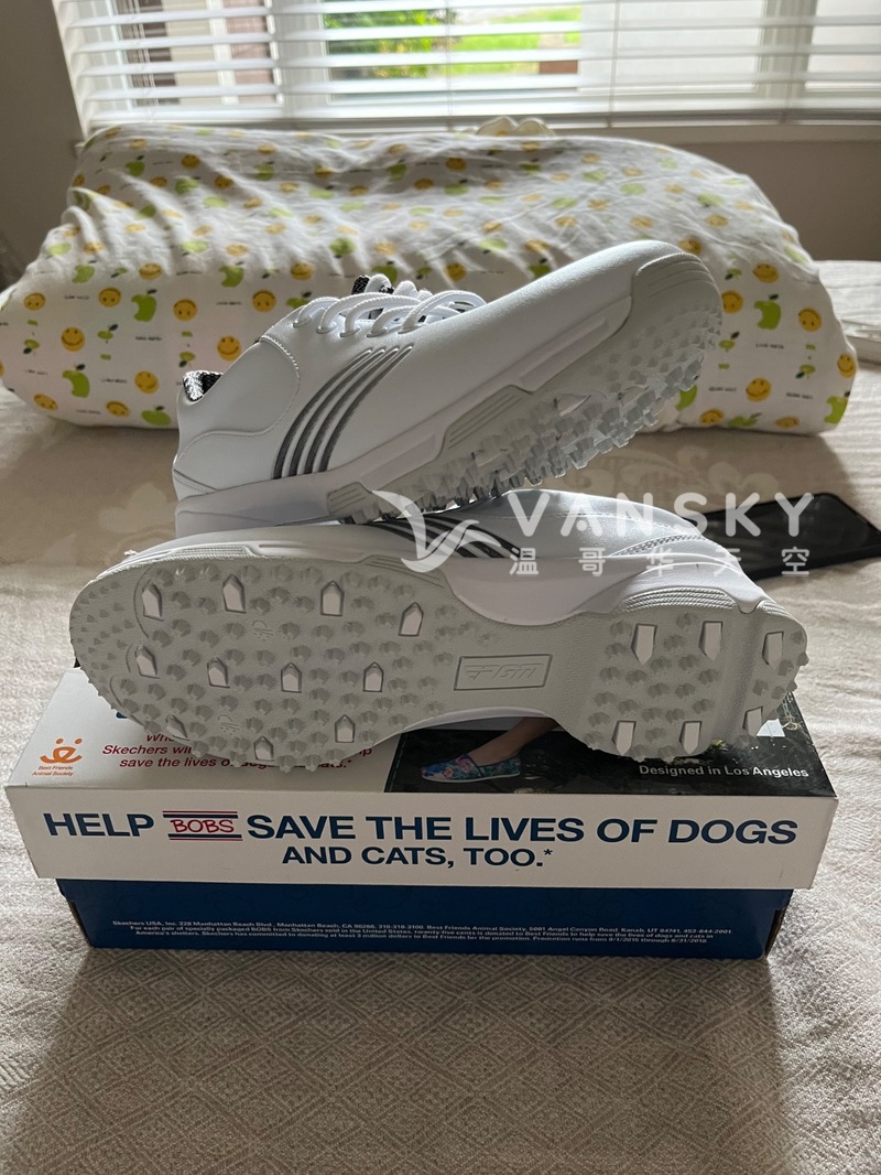 260814193345_IMG_2421.jpeg