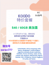Telus光纤上网EPP价$53起 。 Koodo $40/60GB 美加墨，Telus$20/100gb起 如4人+宽带