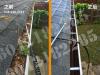 屋顶雨水槽清理维护 gutter cleaning     厨房卫生间管道疏通及改造  擅长屋内外各种漏水 渗水抢修  水电维修安装