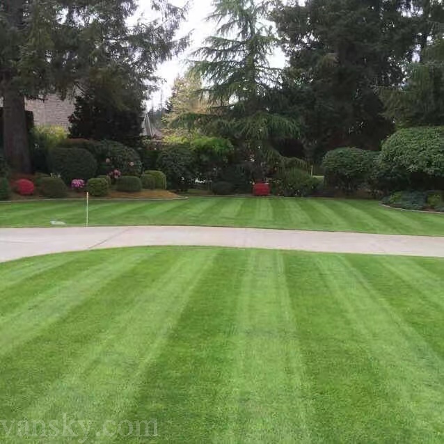 梁生园艺—专业剪草 精打草根 草地加泥 修树植树 高压洗地 铺草种花  欢迎咨询778-891-6638