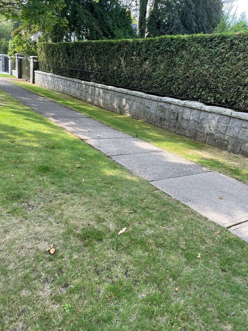 剪草、家居淸洁、清运垃圾