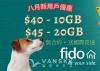 Fido招聘銷售員