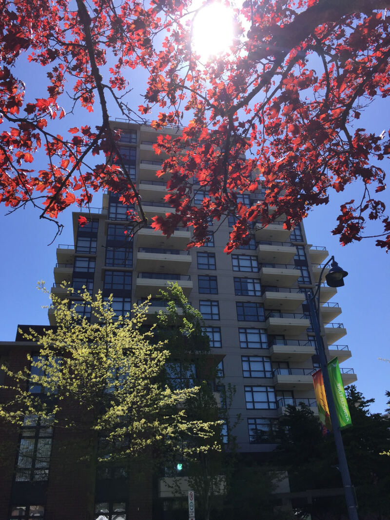 Lansdowne地铁站2房2卫 自住房整租