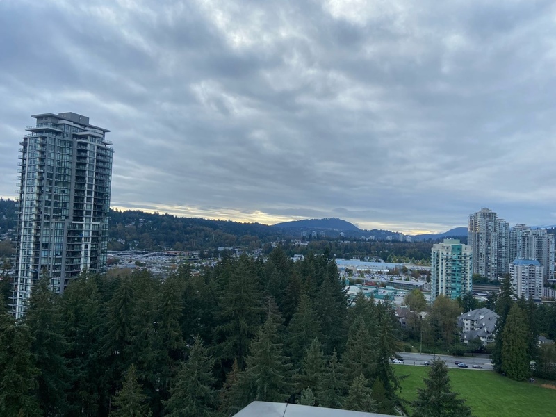 高贵林市中心2房2卫公寓出租