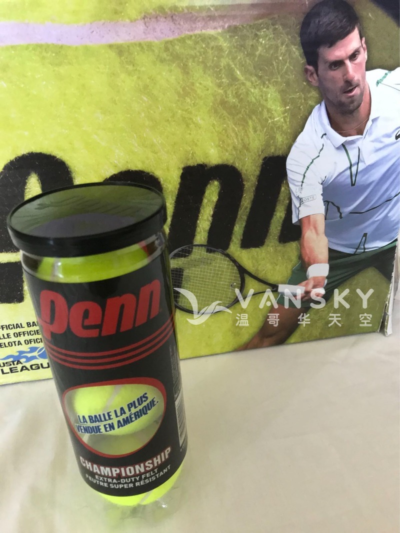 全新Penn网球$3一听（3个）