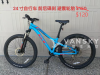 多辆自行车出售