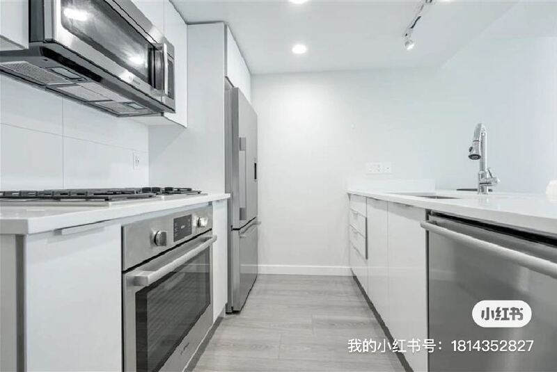 列治文一室一den公寓出租