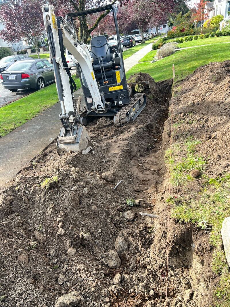 修树庭院施工，改造，铺砖，修换围栏，真假草坪，挡土墙，修伐树木，高压清洗，挖机施工，农场清理黑莓等户外