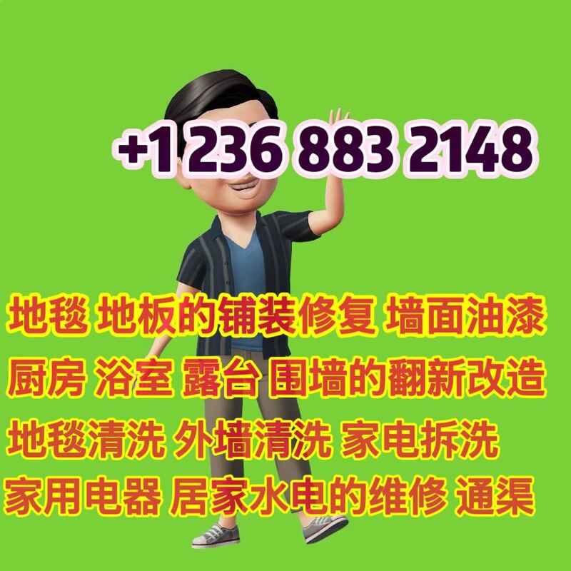 地毯清洗，厨卫&屋顶通渠，外墙清洗，浴室 厨房 露台翻新改造，围墙施工，地毯地板铺设，墙面油漆，家电维修 拆洗
