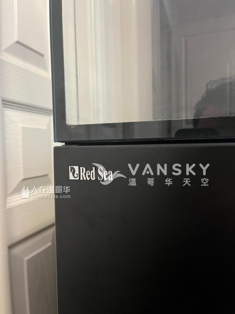 260719151449_iKxq-0N3U1.CJvKLfWyDCifDkyD2_w850_6a62.jpg