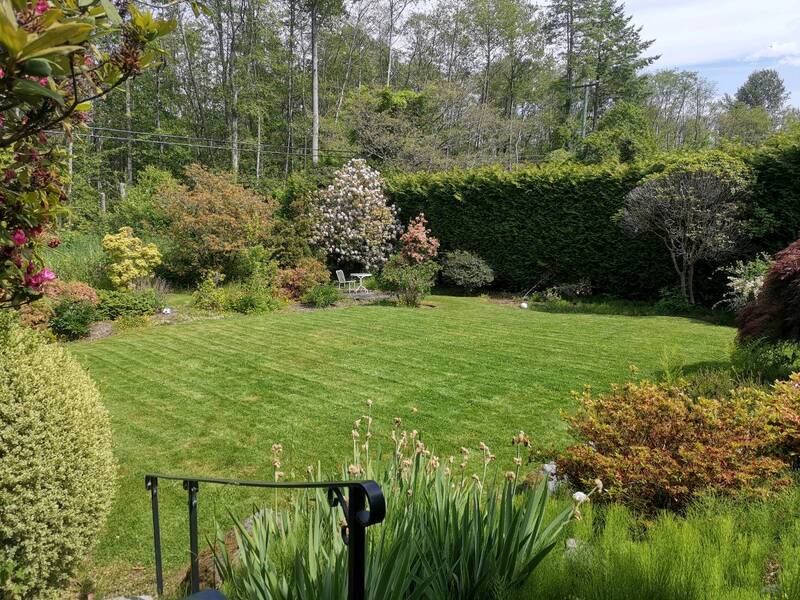 特价！剪草25起！专业打草根！剪草！修边！铺草皮！修树！围栏及维修