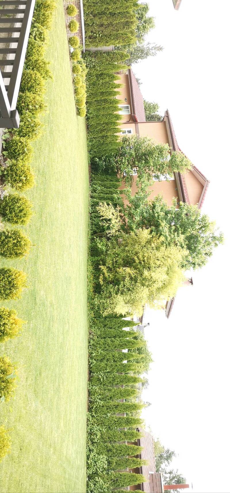 草地护理，树木修整